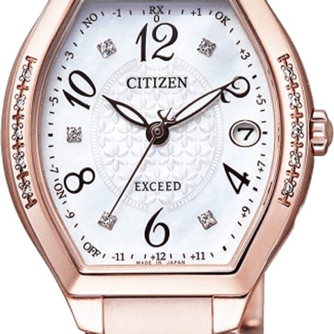Citizen Exceed (ES9385-57W)