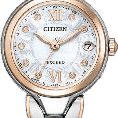 Citizen Exceed (ES9474-67W)