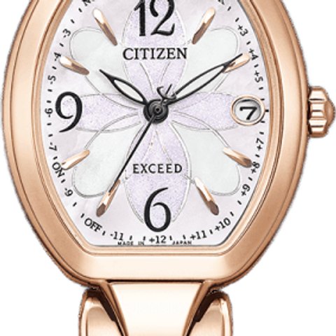 Citizen Exceed (ES9482-51W)