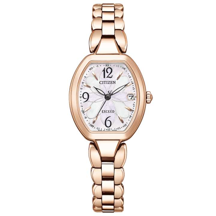 Citizen Exceed (ES9482-51W)