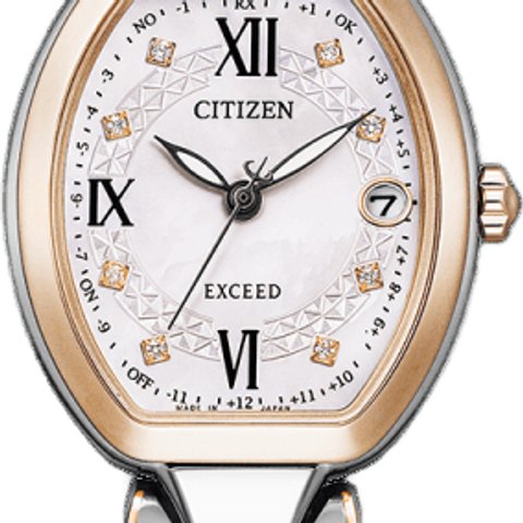 Citizen Exceed (ES9484-55W)