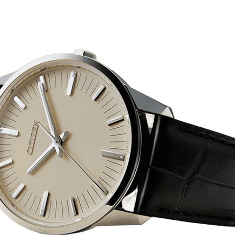 Citizen The Citizen Caliber 0100 Mother-of-Pearl (Super Titanium)