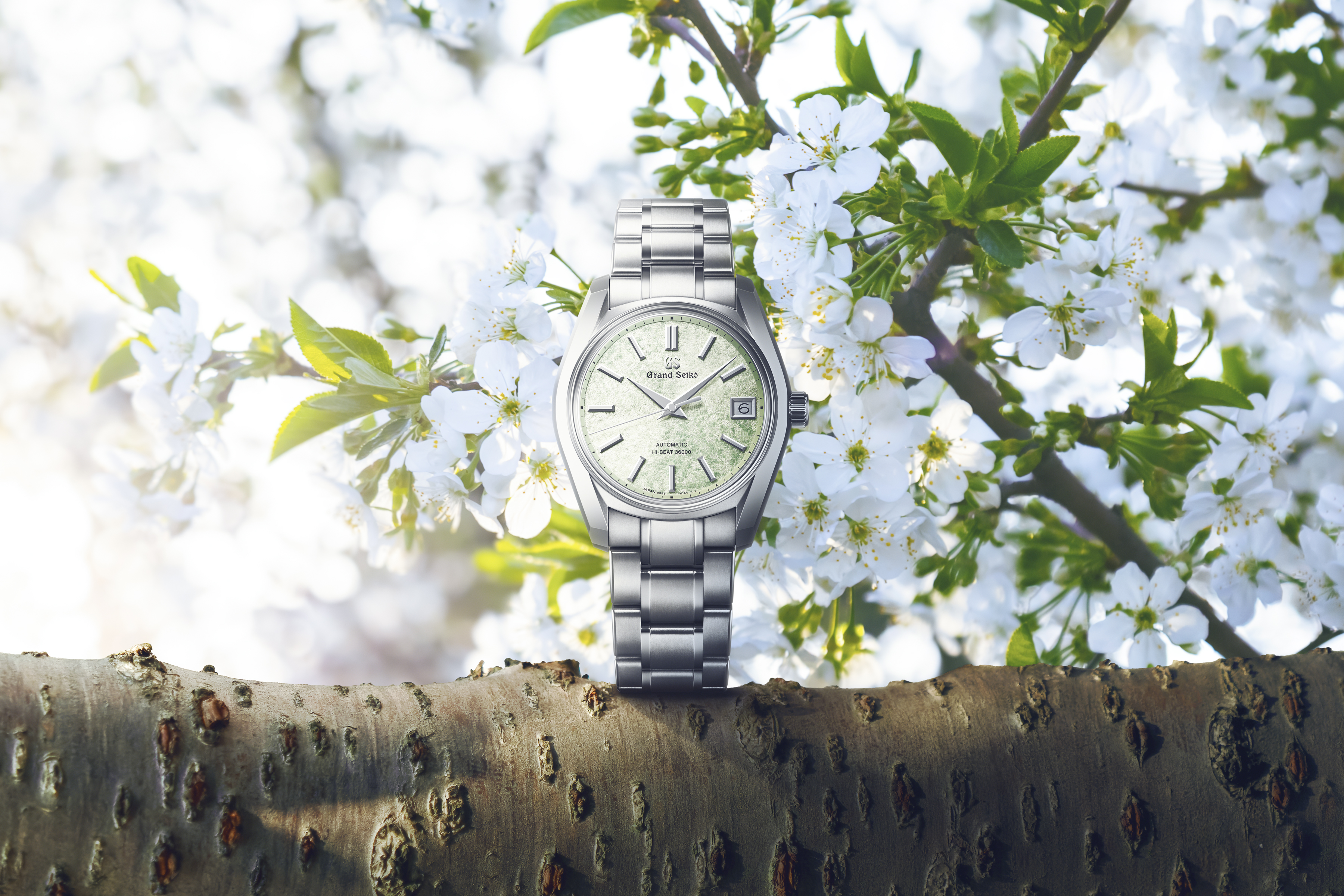 Grand Seiko Heritage 62GS Hi-Beat 36000 Sakura-Wakaba (SBGH343)